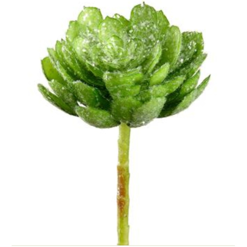 XHK136-GR/IC (27444) – Iced Echerveria Pick Green/Ice 8.5