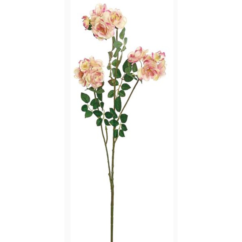 4150-CCER (31152) – Rambling Rose Spray X3 32 Cream