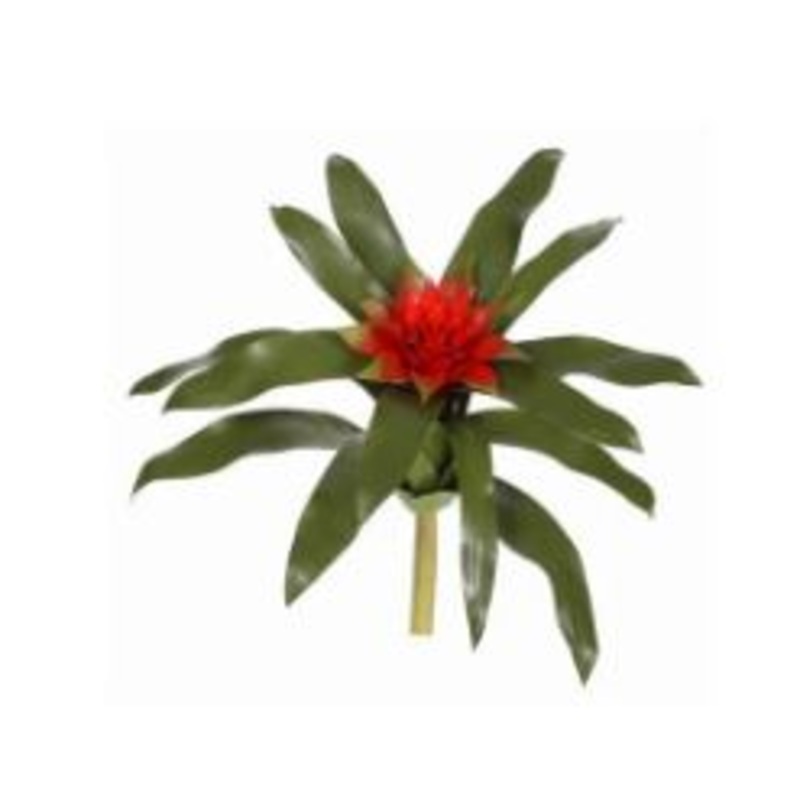 95750.RD (30502) – Bromeliad 14 Red