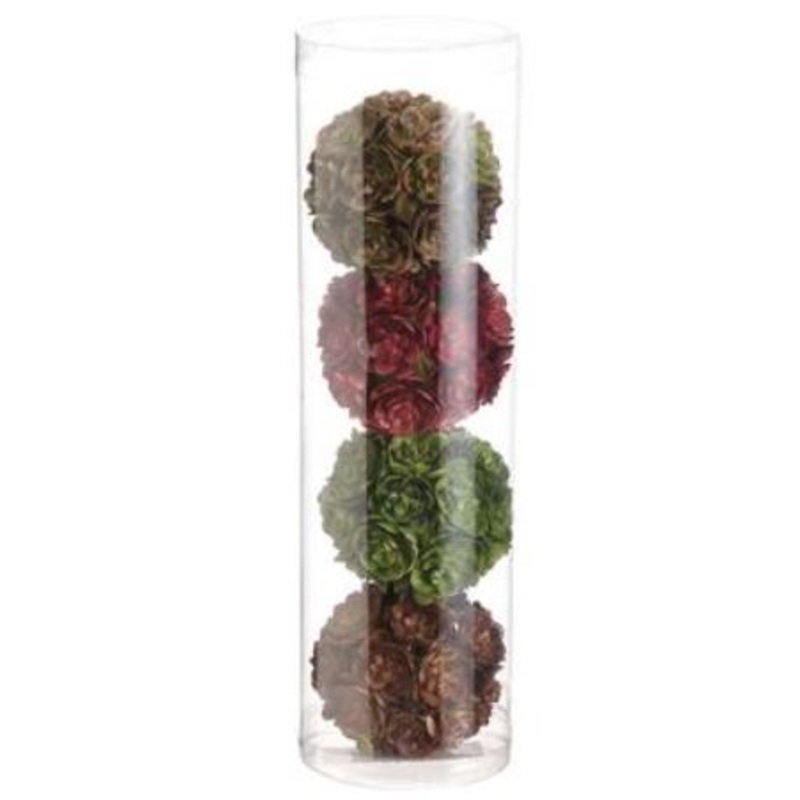 AA1897-MX (25837) – Sedum Orb 4/Bx 2 REG $15.90