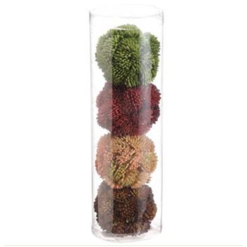 AA1902-MX (25834) – Sedum Orb 2 4/Bx REG $15.90