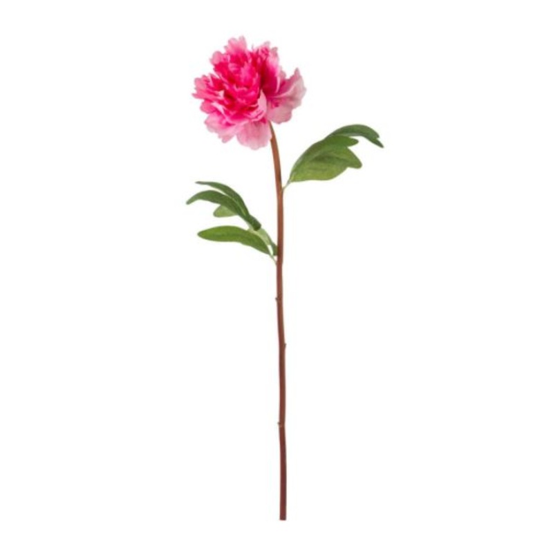 F2653-FUSC (29067) – Peony Stem Fuschia
