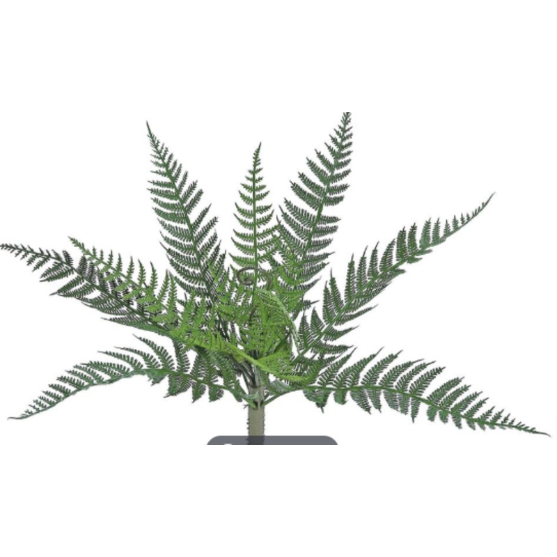 FL5235-G (27160) – Forest Fern Bush 12.5 Uv/Fr Gr