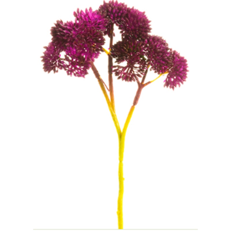 FSS230-BU (27091) – Sedum Pick Bundle X3, Burgundy 8