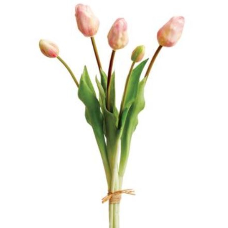 FST316-PK (29180) – Tulip Bundle X5 Pink 18