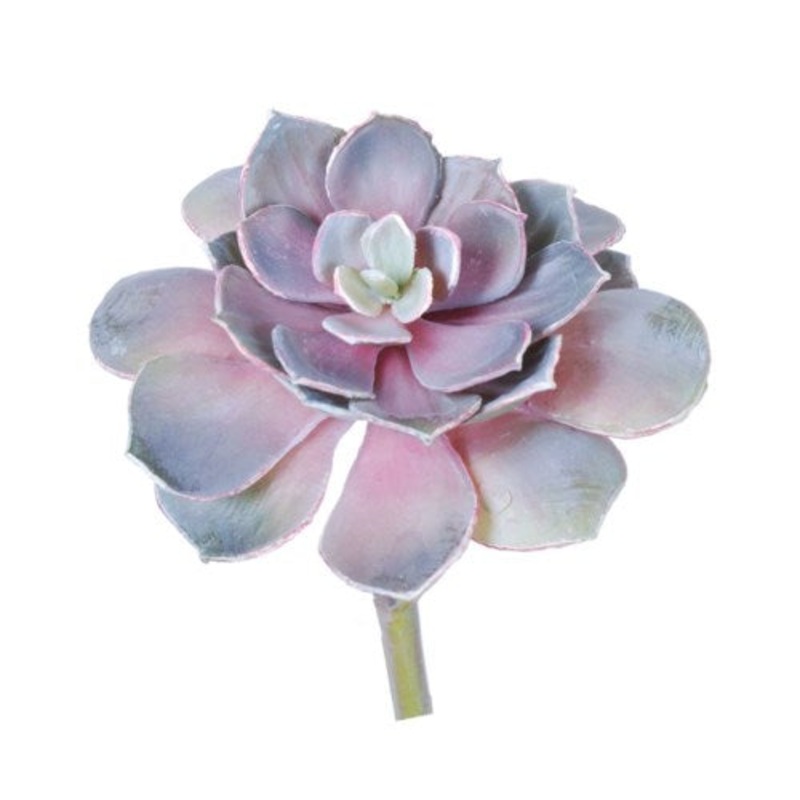 GB60115N.MVDG (23508) – Succulent Mvdg