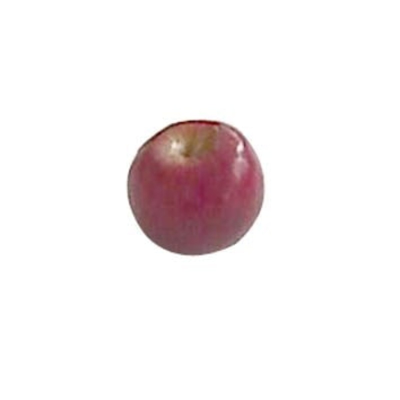GF40111N DR (21034) – Apple, Small 2