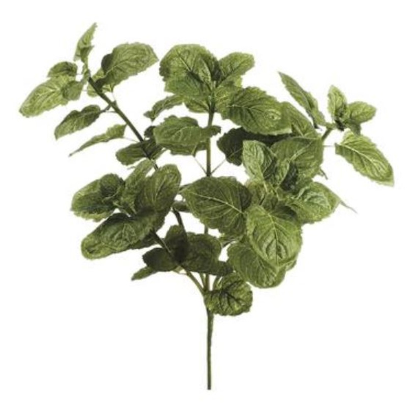 PBH251-GR (17823) – Basil Bush 14 Green