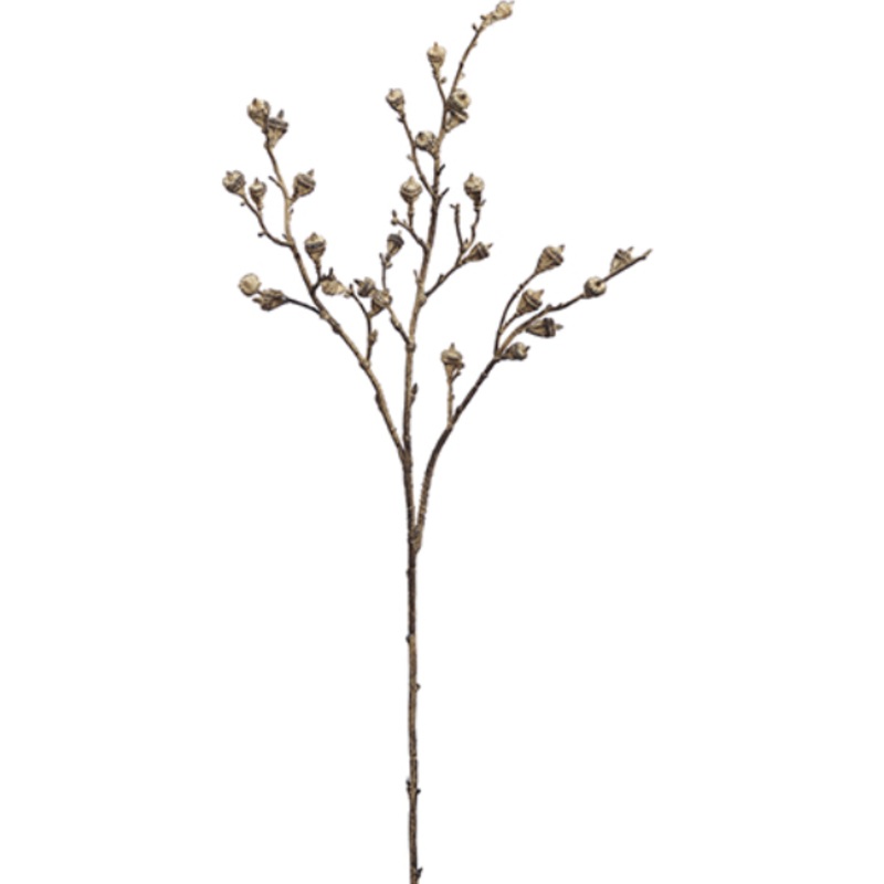 PSP695-BR/LT (29004) – Eucalyptus Pod Spray 31