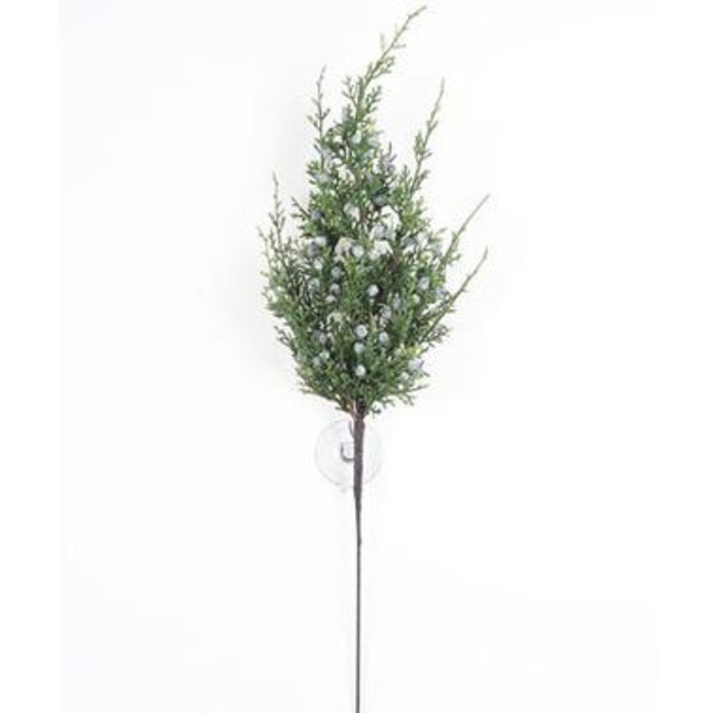 23477 (23483) – Juniper Spray