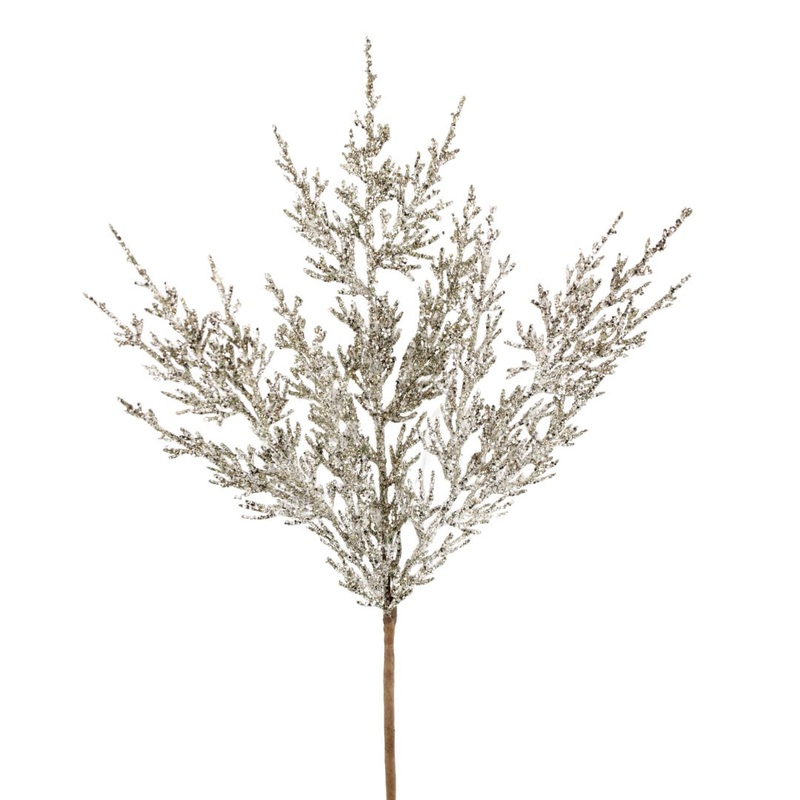 244916 (4032) – Juniper Spray Champagne 14