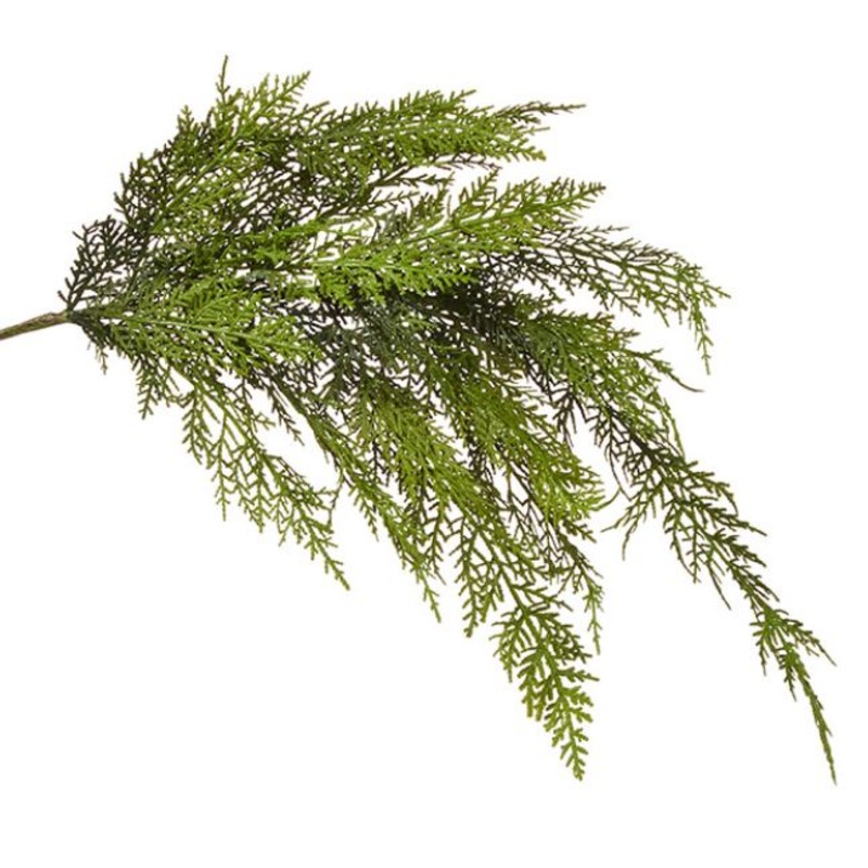 F3832030 (29921) – Cedar Spray 34