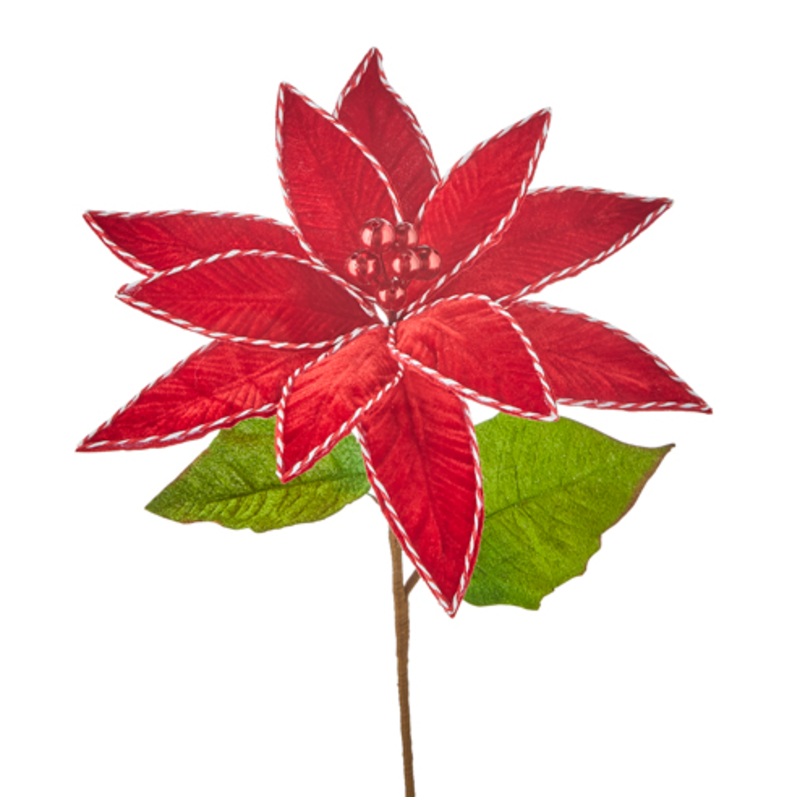 F4160811 (28610) – Poinsettia Stem 23