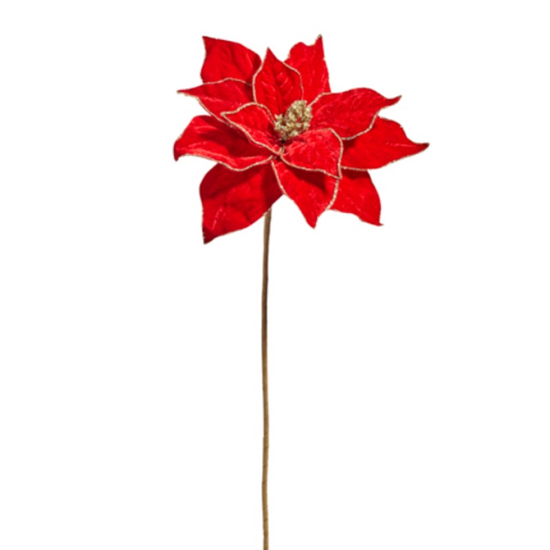 F4406734 (32133) – Pointsettia Red W/ Gold Edge 20