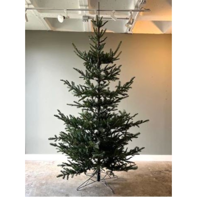 PHDXMA220149 (30345) – Noble Fir Tree 10′ W/Lights