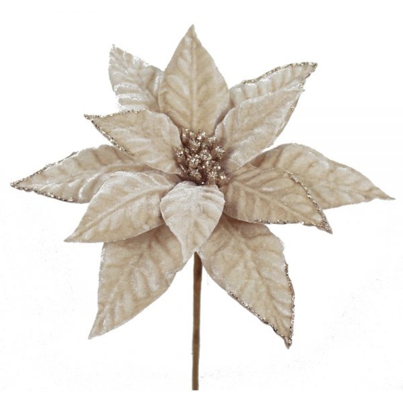 SA10468 (30168) – Poinsettia Stem Cream