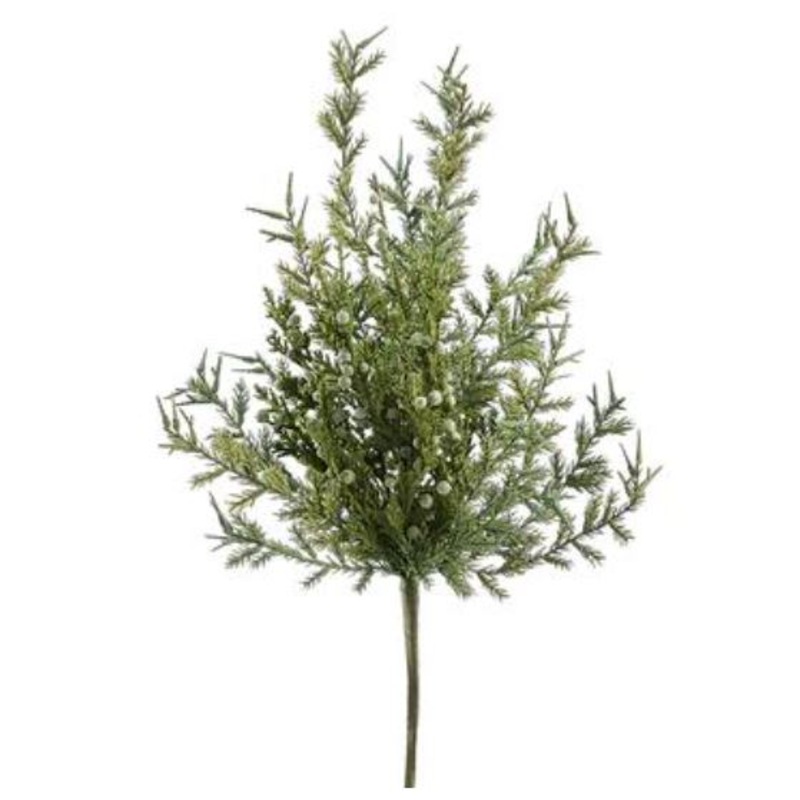 YSJ163-GR (30022) – Juniper Berry Spray 15