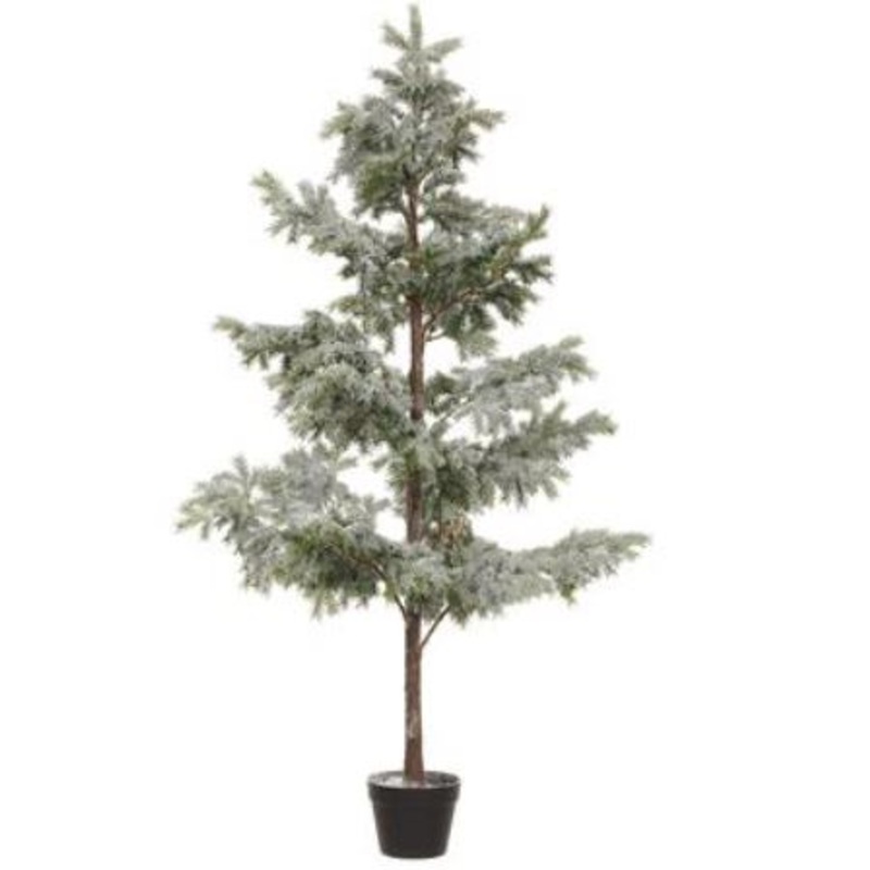 YTP506-GR/WH (30068) – Snow Pine Tree 61 In Pot