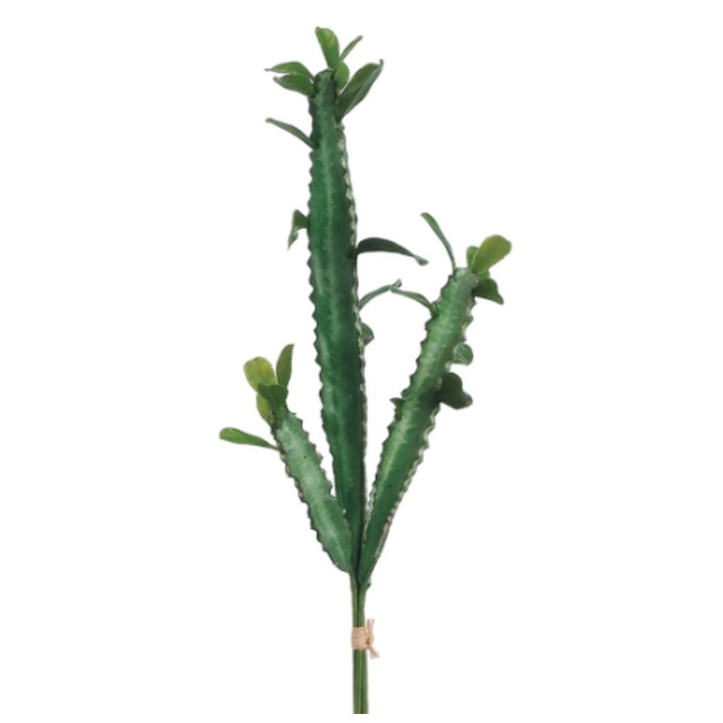CC4032-GR (24962) – 22 Cactus X2 Green