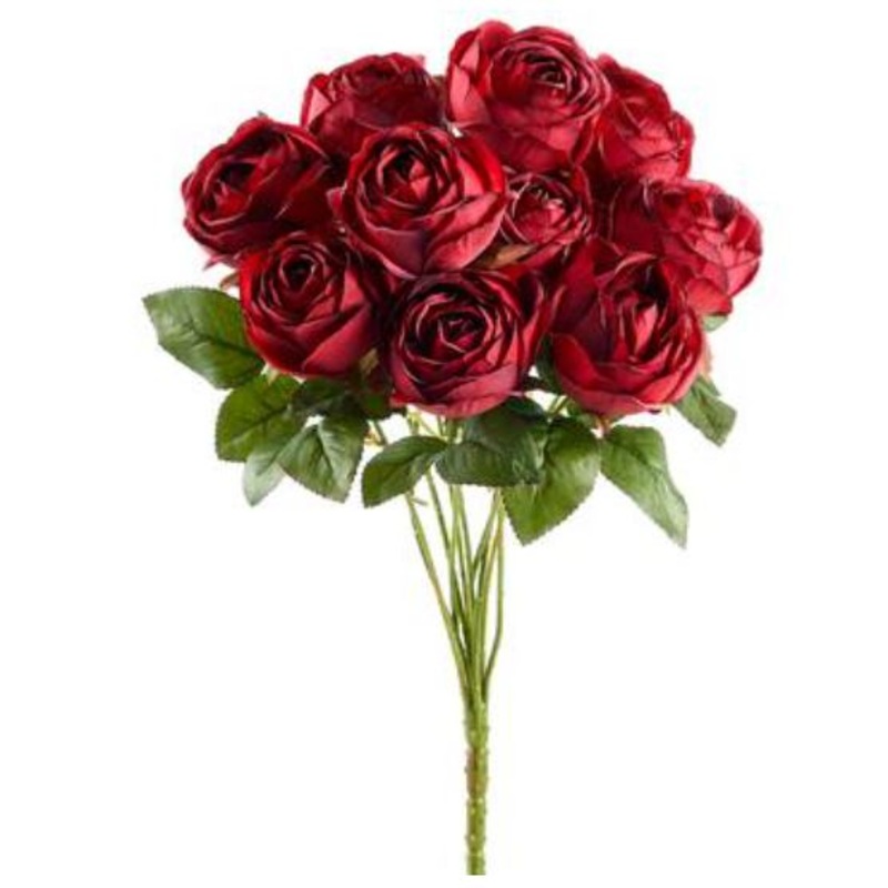 XFB120-BU (31392) – Rose Bush X10 Burgandy 19