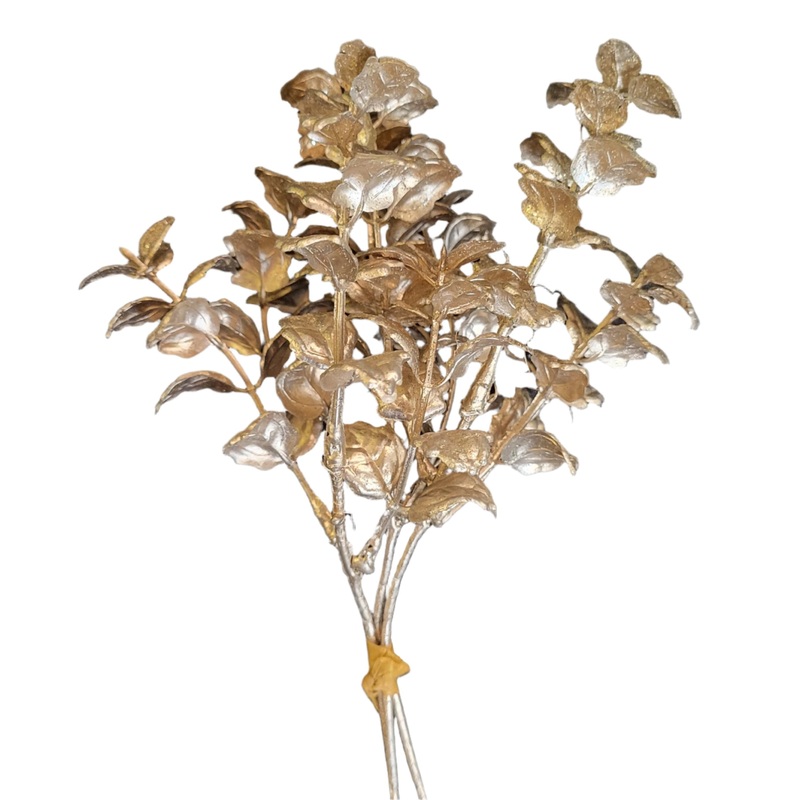 XHS735-CN (25127) – Sage Bundle X3 9.5” Champagne