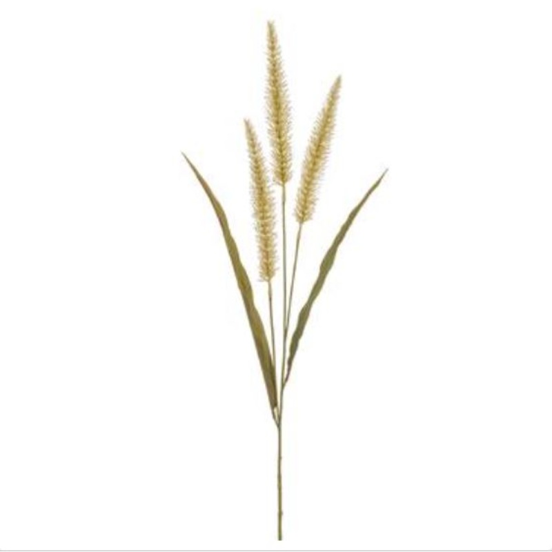 FSF467-BE (28442) – Foxtail Grass Spray Be 36
