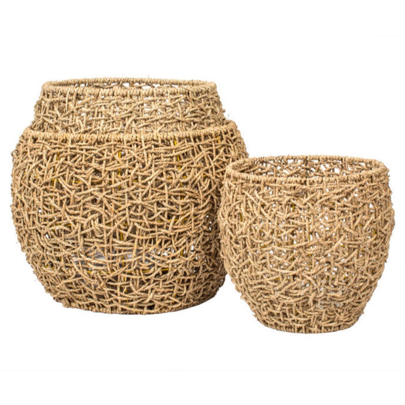 64673++ (28524) – 10 Natural Rope Tree Cover, Medium