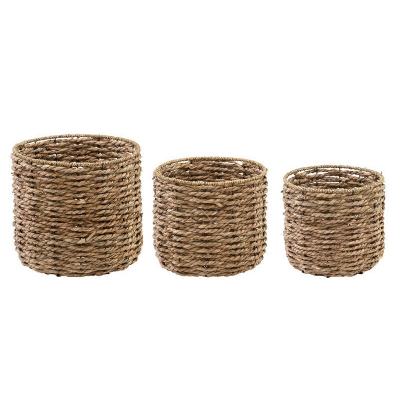 65193++ (28518) – 9.5 Seagrass Tree Cover, Medium