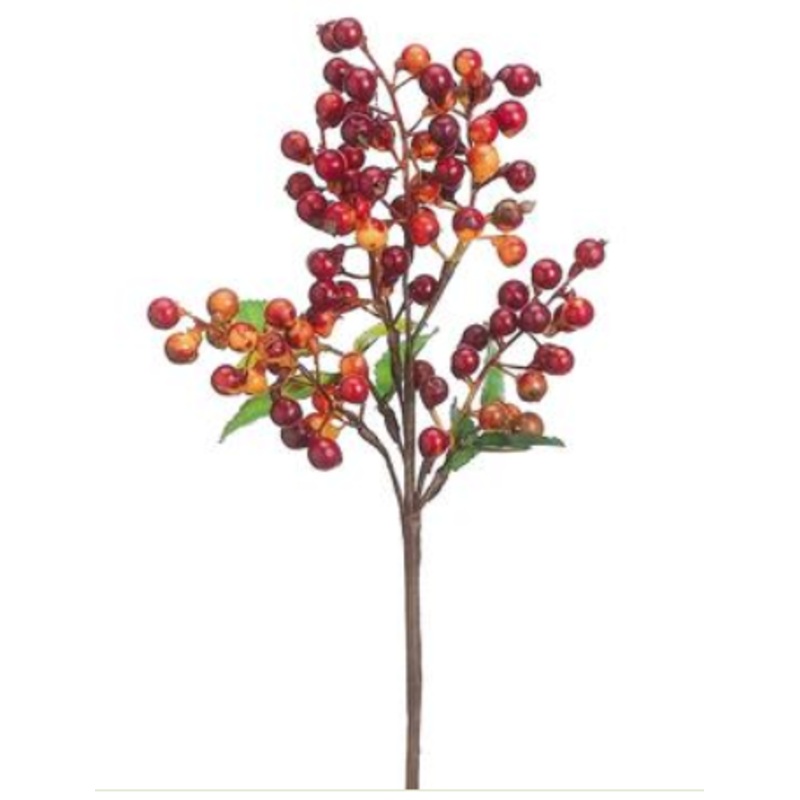 FKB051-BC/OR-1 (25225) – Berry Pick, Brick/Orange 14