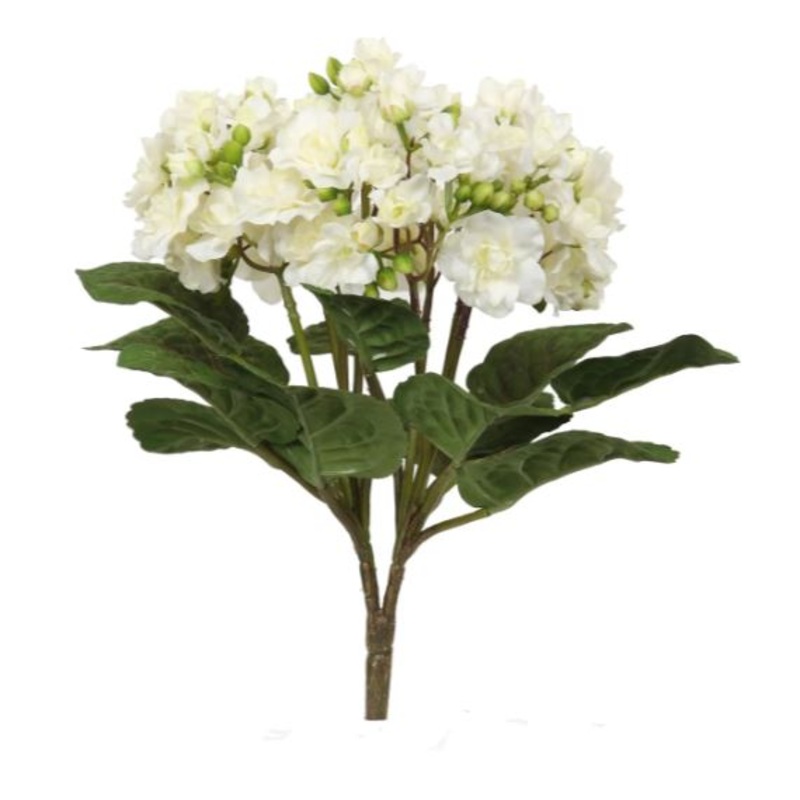 55111.WH (25909) – Mini Kalanchoe White 12