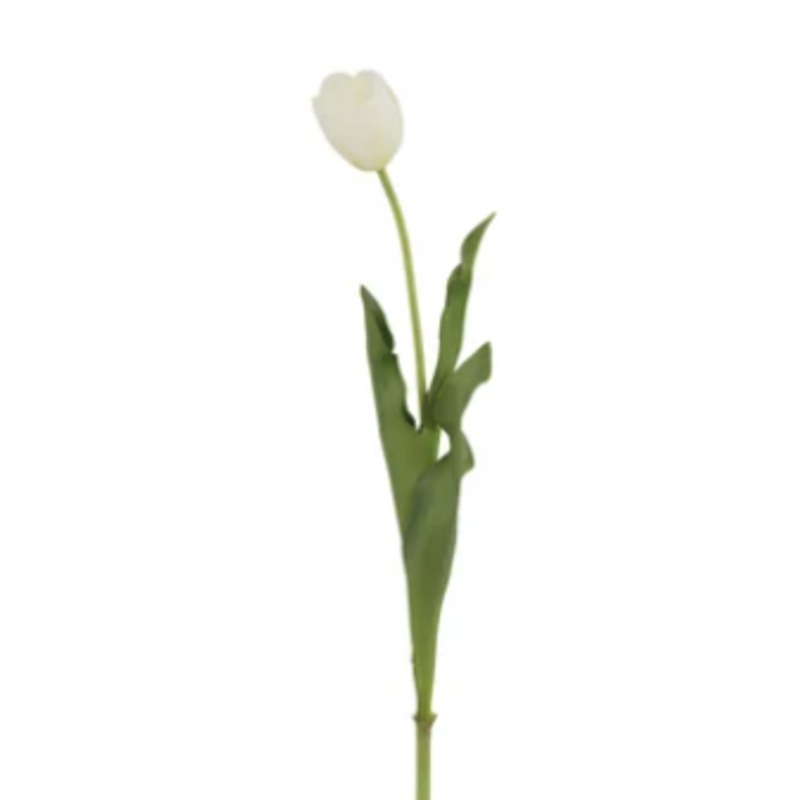 92004NT.WH (4002) – Tulip White 22.5 Decor