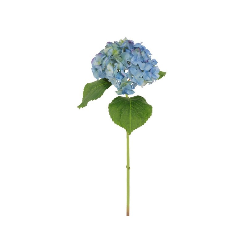 92016NT.BL (27622) – Hydrangea 23.5 Blue