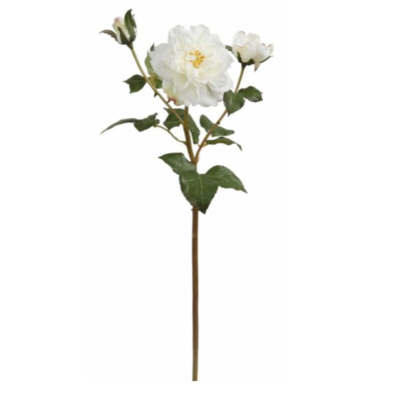 93124.WH (22739) – English Ruffle Rose 19 White