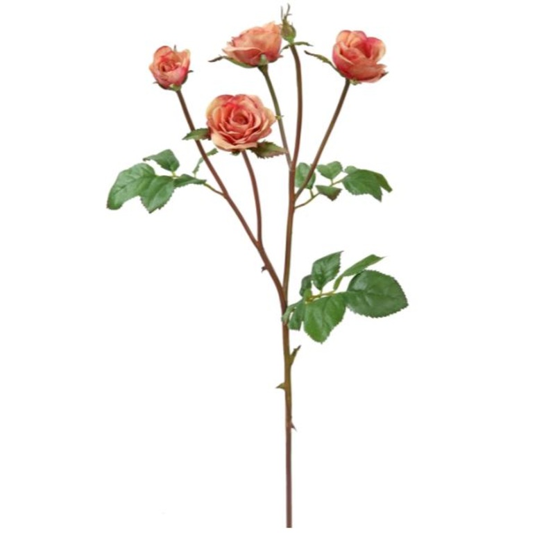 95118C.PPC (22743) – Rose Floribunda Sh/St 19 Ppc