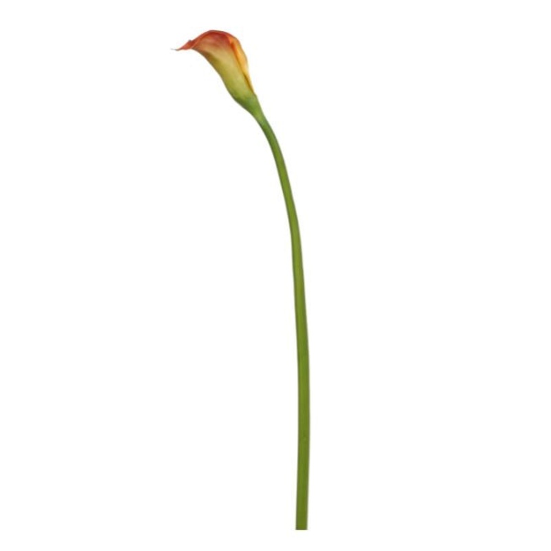 95172.BO (31359) – Calla Lily 30.5 Burnt Orange