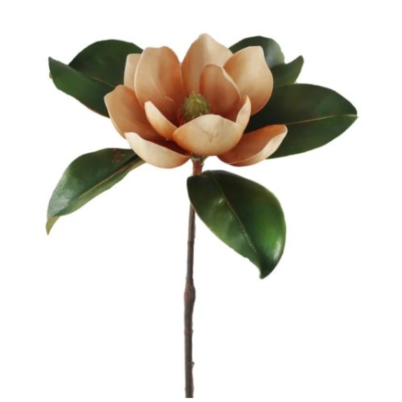 95605.BR (30247) – Magnolia 24 Brown