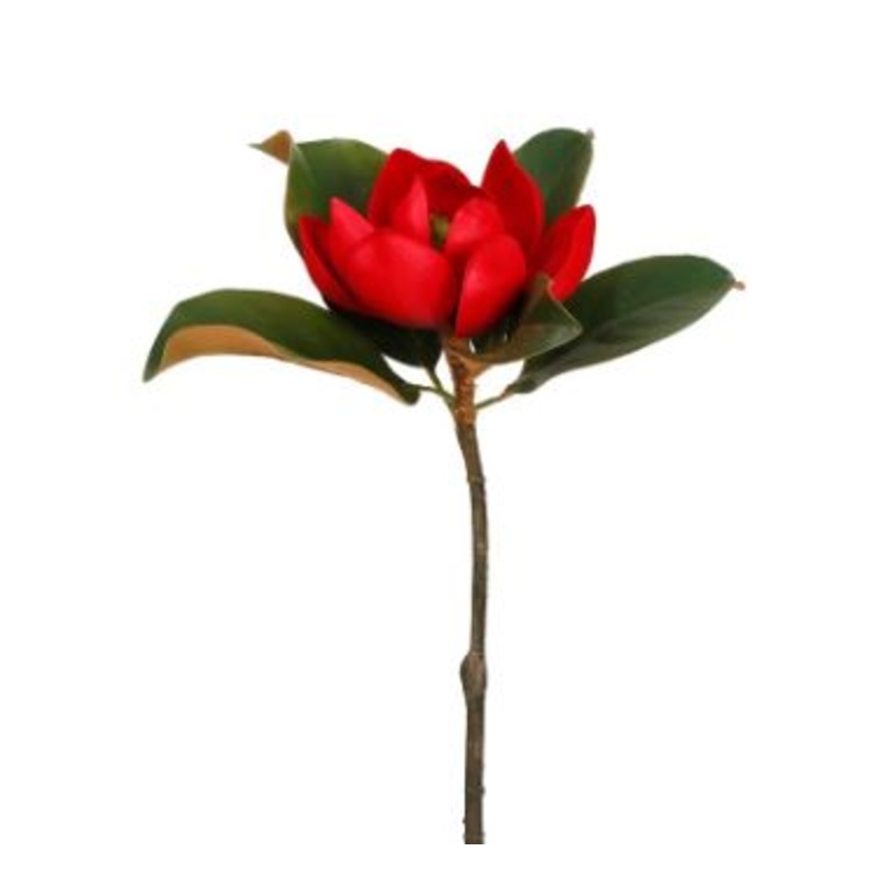 95605.RD (30248) – Magnolia 24 Red