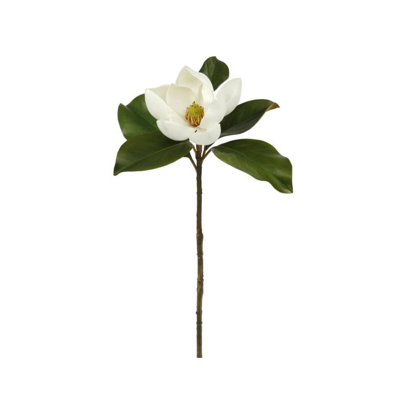 95605.WW (20541) – Magnolia 24 Two-Tone White