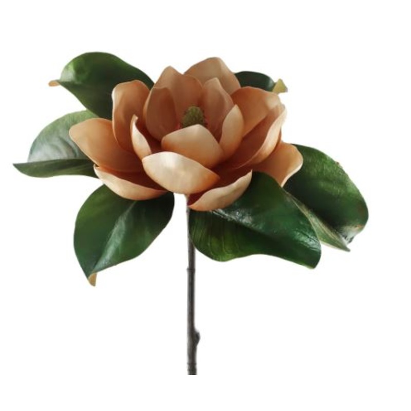 95606.BR (30246) – Magnolia 33.5 Brown