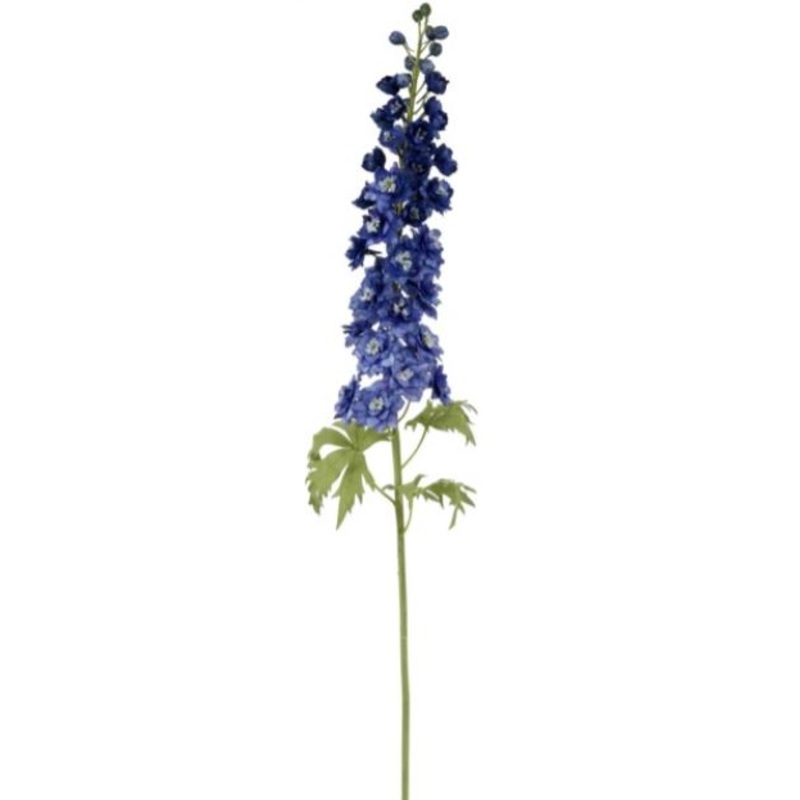 95618.BL (26166) – Delphinium Blue 47