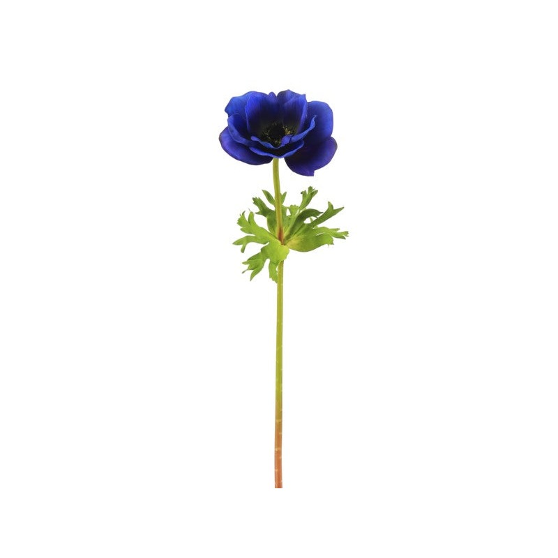 95637NT.BL (27628) – Poppy Anemone 17.5 Blue