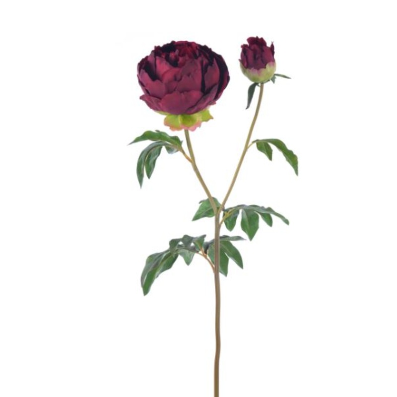 96505NT.BU (30518) – Peony 27 Burgundy