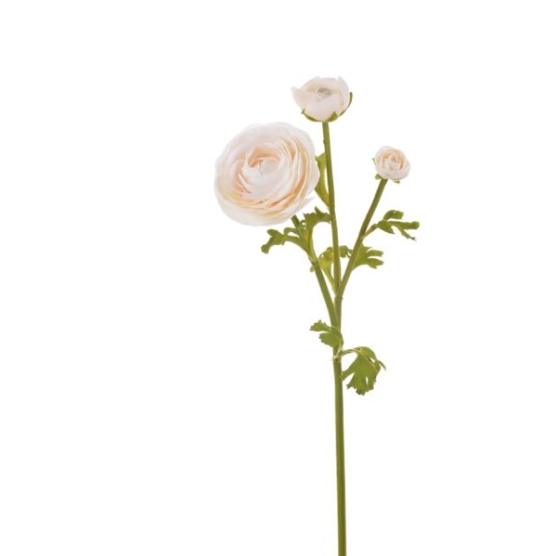 96509NT.BI (30512) – Ranunculas 22.5 Beige