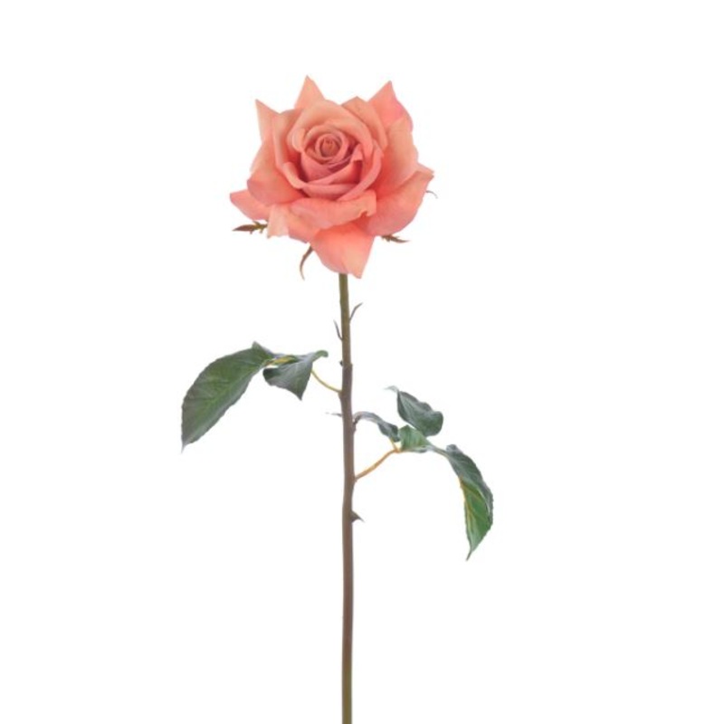 96510NT.DSM (30497) – Rose Duchess Open 20