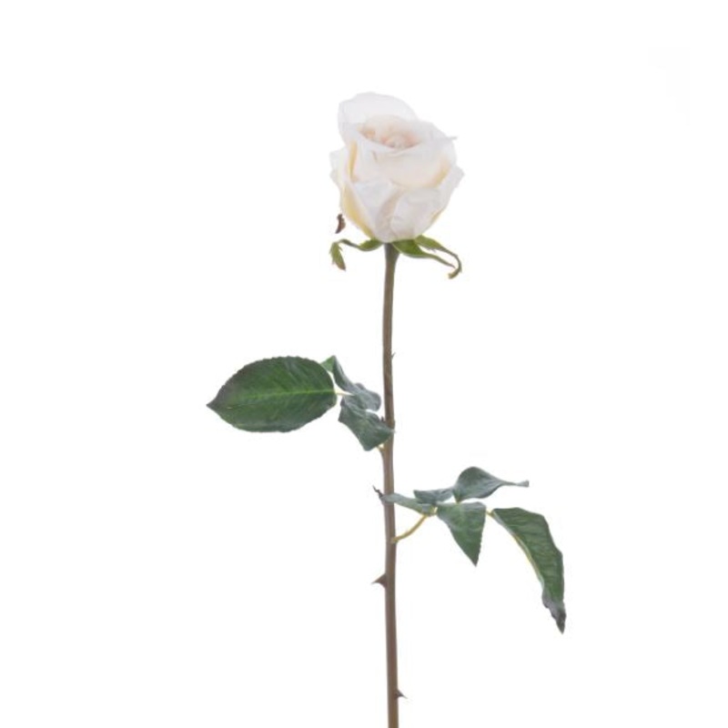 96513NT.BI (30517) – Rose Bud Pick 20.5 Beige