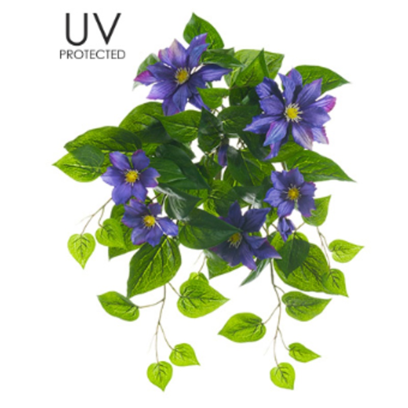 FBC313-PU (27126) – Uvpro Clematis Bush 20.5 Purple