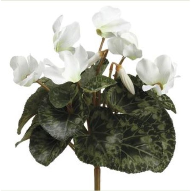 FBC399-CR/WH (18802) – Cyclamen Bush Cream/White 11
