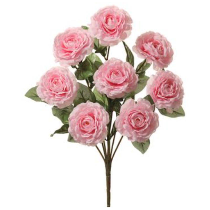 FBC404-PK (31386) – Camellia Bush X 8 19