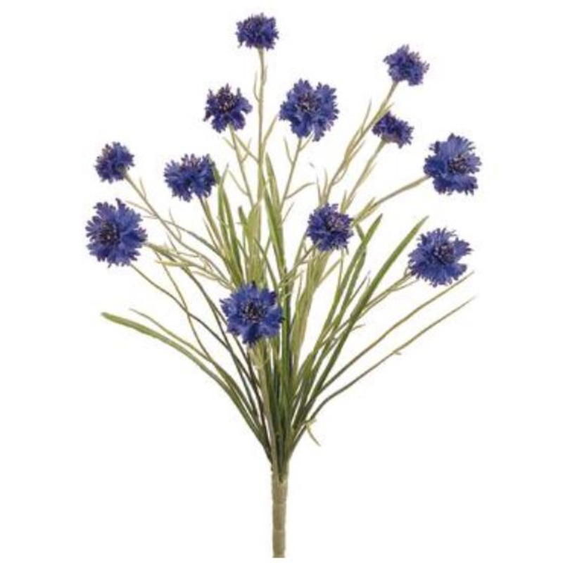 FBC761-BL/RY (26151) – Cornflower Bush 12F Blue/Ry 22