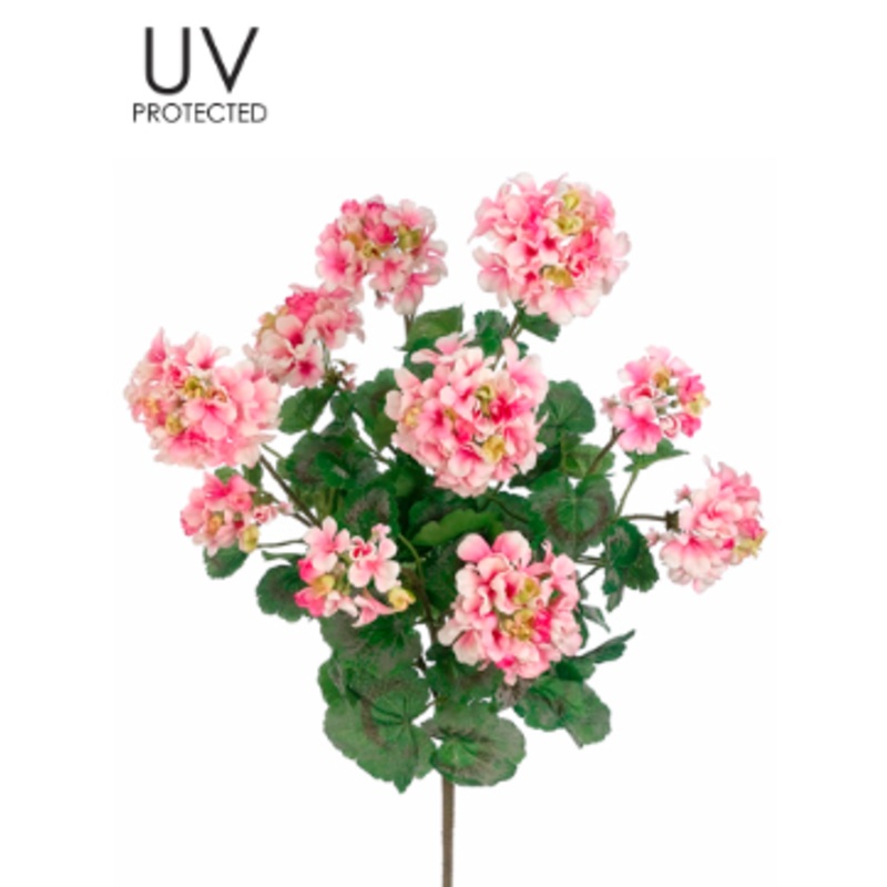 FBG041-PK/WH (27145) – Uvpro Geranium Bush X5 24 Pink/White